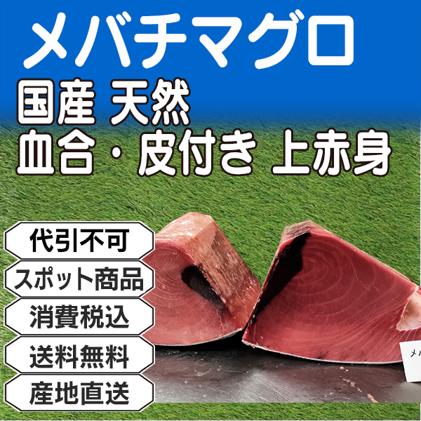 メバチマグロ 上赤身 血合・皮付き 背腹込ブロック柵 国産 天然 神奈川県 三浦三崎産  ■不定貫 ★ロット割対象商品 【事前銀行振込】(配送不可：沖縄・離島)