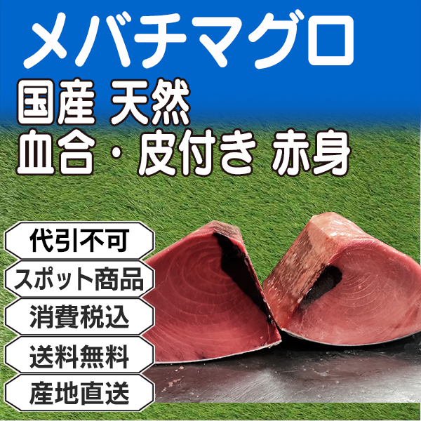 メバチマグロ 赤身 血合・皮付き 背腹込ブロック柵 国産 天然 神奈川県 三浦三崎産 ■不定貫 ★ロット割対象商品 【事前銀行振込】(配送不可：沖縄・離島)