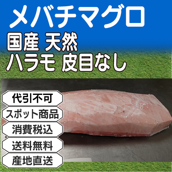 大メバチマグロ ハラモ 背腹込ブロック 皮目なし 国産 天然 神奈川県 三浦三崎産 約1kg ■不定貫 ★ロット割対象商品 【事前銀行振込】(配送不可：沖縄・離島)