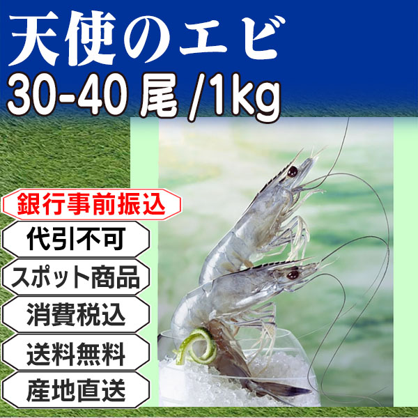 天使の海老        3kg(3kg箱 ×1箱) (配送不可：沖縄・離島) 【代引不可】