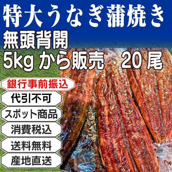 特大うなぎ蒲焼き 鰻 中国 5kg(5kg箱 ×1箱) (配送不可:沖縄・離島) 【代引不可】