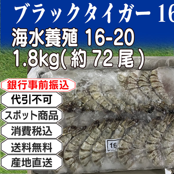 ブラックタイガー16-20 海水養殖     インドネシア  1.8kg(1.8kg箱 ×1箱) (配送不可：沖縄・離島) 【代引不可】