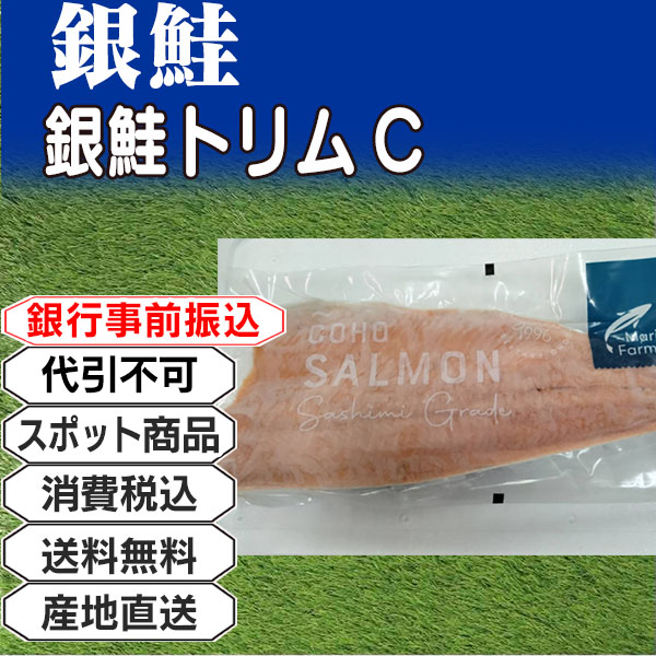銀鮭 トリムC チリ10kg(10kg箱 ×1箱) (配送不可：沖縄・離島) 【代引不可】