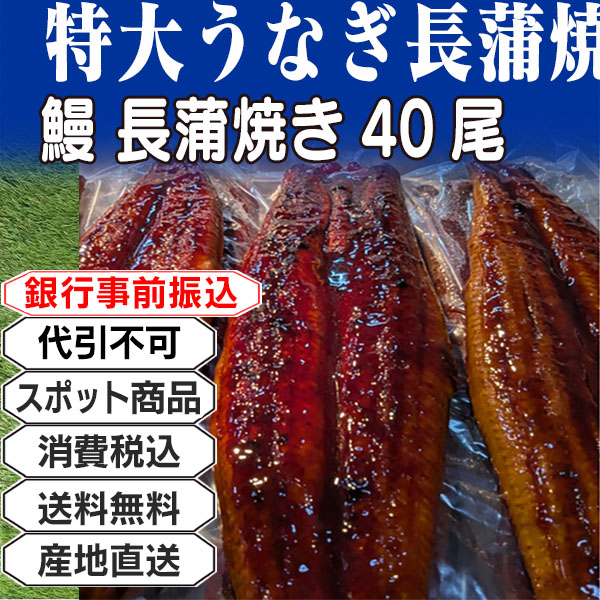 特大うなぎ長蒲焼き 中国  5kg(5kg箱 ×1箱) (配送不可：沖縄・離島) 【代引不可】