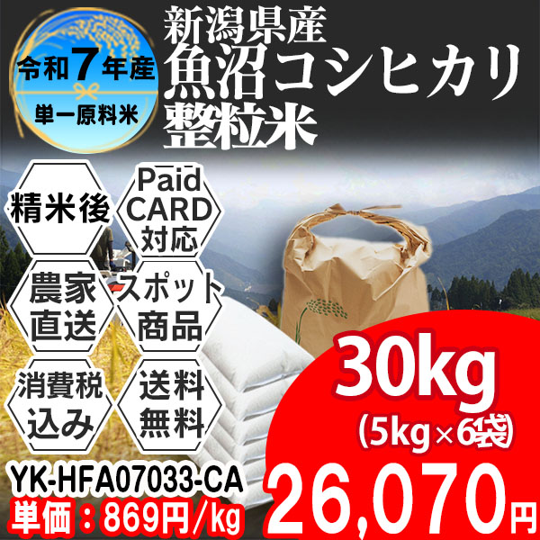 魚沼コシヒカリ 新潟県 南魚沼 R7年産 1等米 単銘柄 大粒整粒米 精白米 30kg(5kg×6)【クレカ・Paid決済】発送は発送予定表を要確認 (消費税・送料込/配送不可：沖縄・離島)