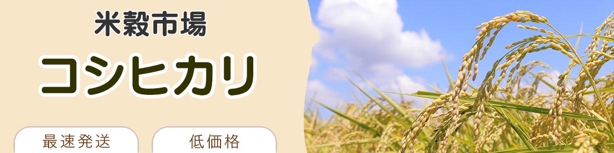 コシヒカリ