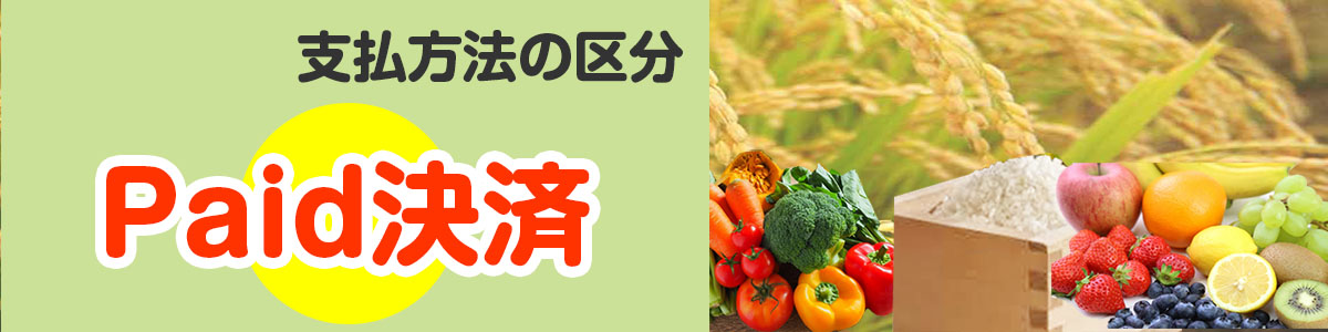 Paid決済
