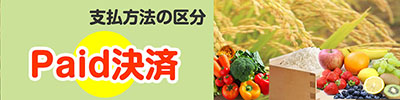 Paid決済