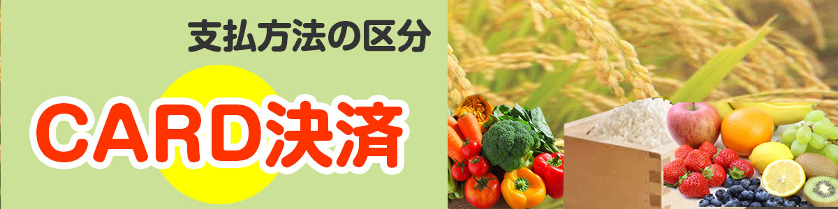 Card決済