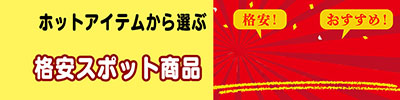 格安スポット